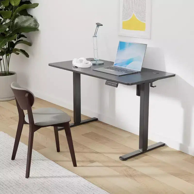 PexFix 48 x 24 Electric Standing Desk Black Desktop Height Adjustable Computer Desk Stand up Home Office Desk with Splice Board