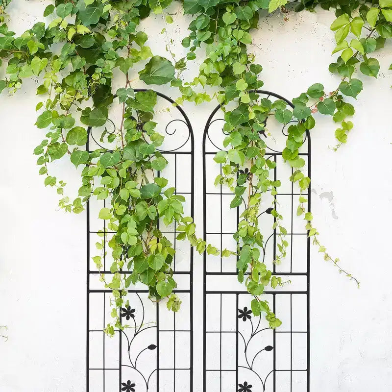 MAYEERTY 2-Pack 71x19.7in Metal Garden Trellis - Rustproof, Black, for Outdoor Climbing Plants & Flowers