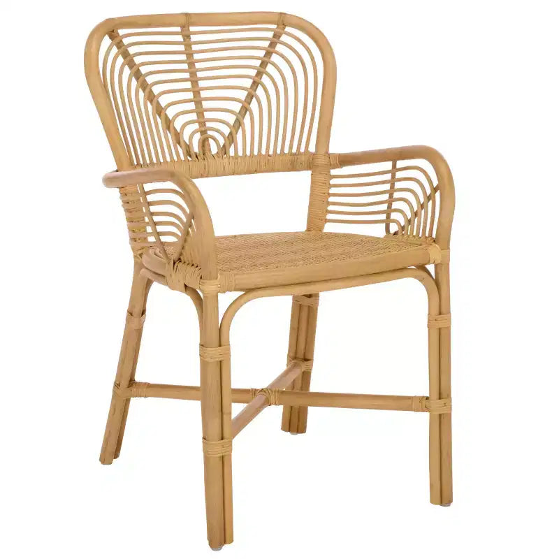 Rimma Rattan Arm Chair - ACH6701 - Natural - Safavieh