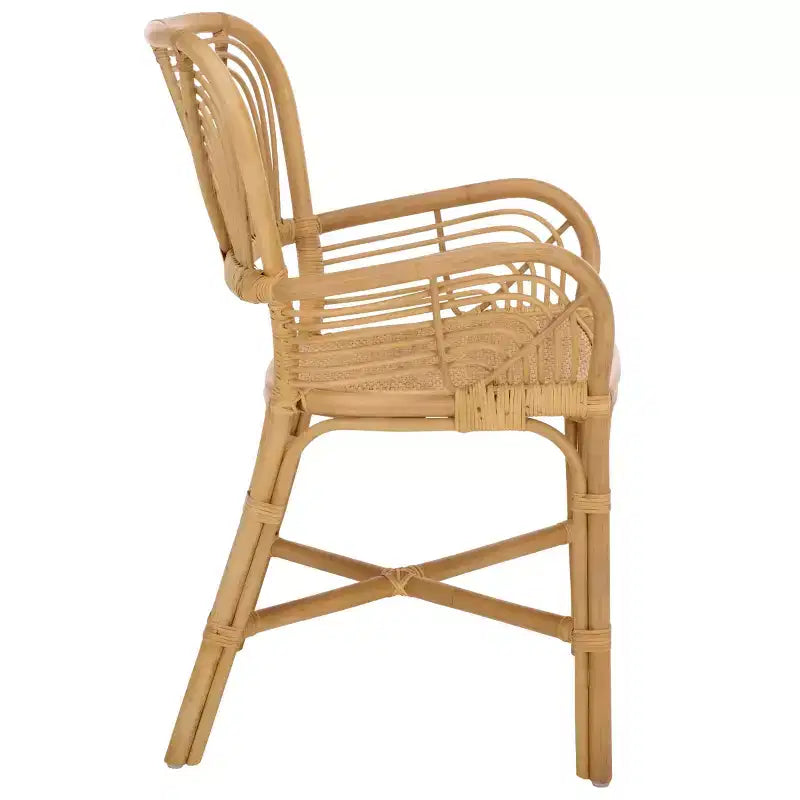 Rimma Rattan Arm Chair - ACH6701 - Natural - Safavieh