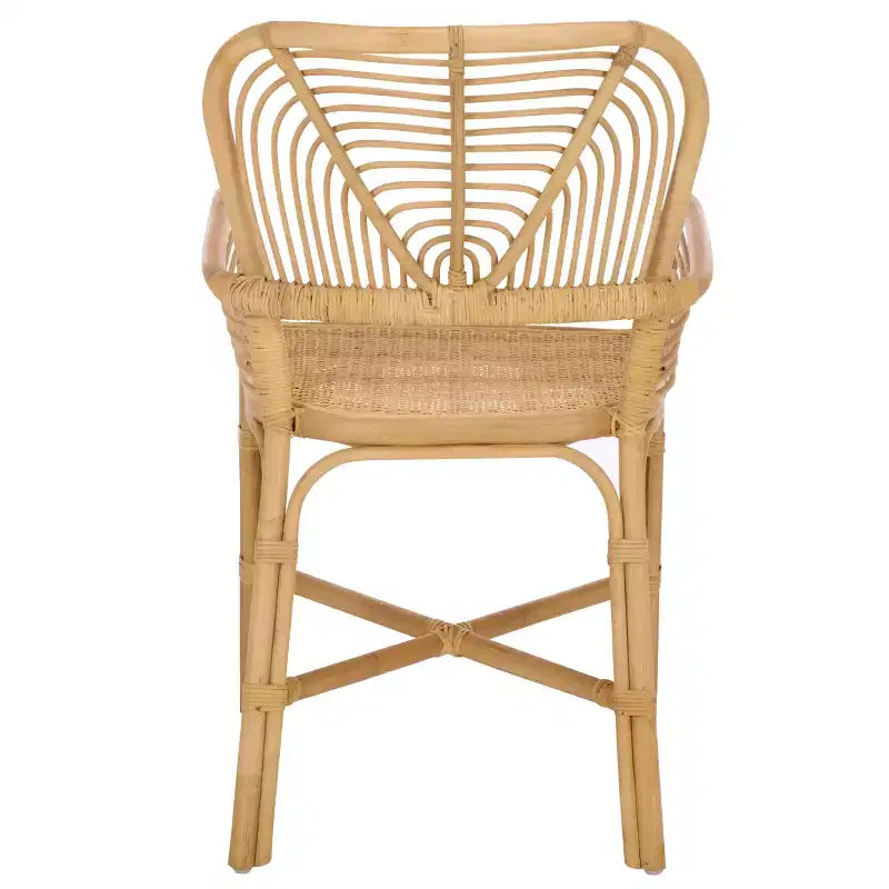 Rimma Rattan Arm Chair - ACH6701 - Natural - Safavieh
