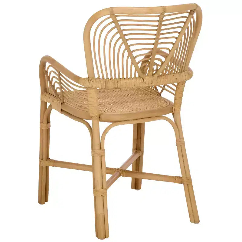 Rimma Rattan Arm Chair - ACH6701 - Natural - Safavieh