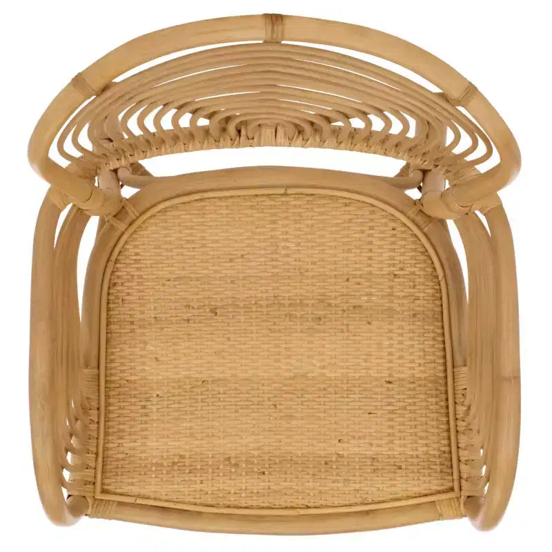 Rimma Rattan Arm Chair - ACH6701 - Natural - Safavieh