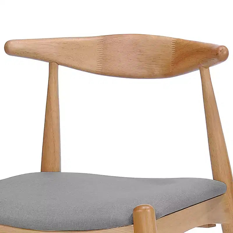 Set of 2 Francie Mid Century Dining Chairs - Christopher Knight Home
