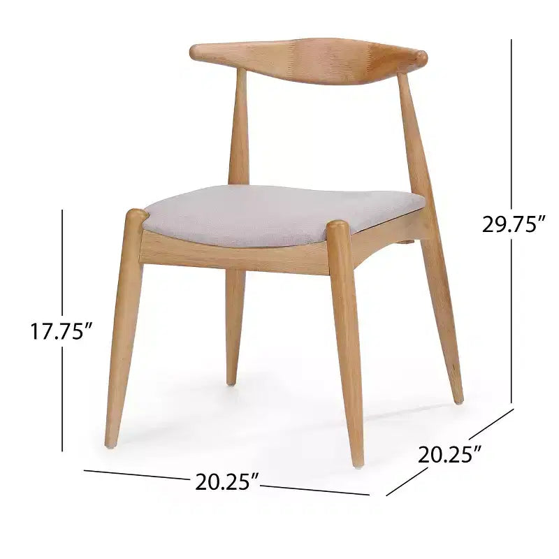 Set of 2 Francie Mid Century Dining Chairs - Christopher Knight Home