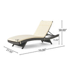 Hypoint Outdoor Wicker Armless Chaise Lounge con cuscino di Christopher Knight Home