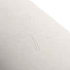 Set da giorno divanetto da esterno a 2 pezzi con tavolino in vetro temperato