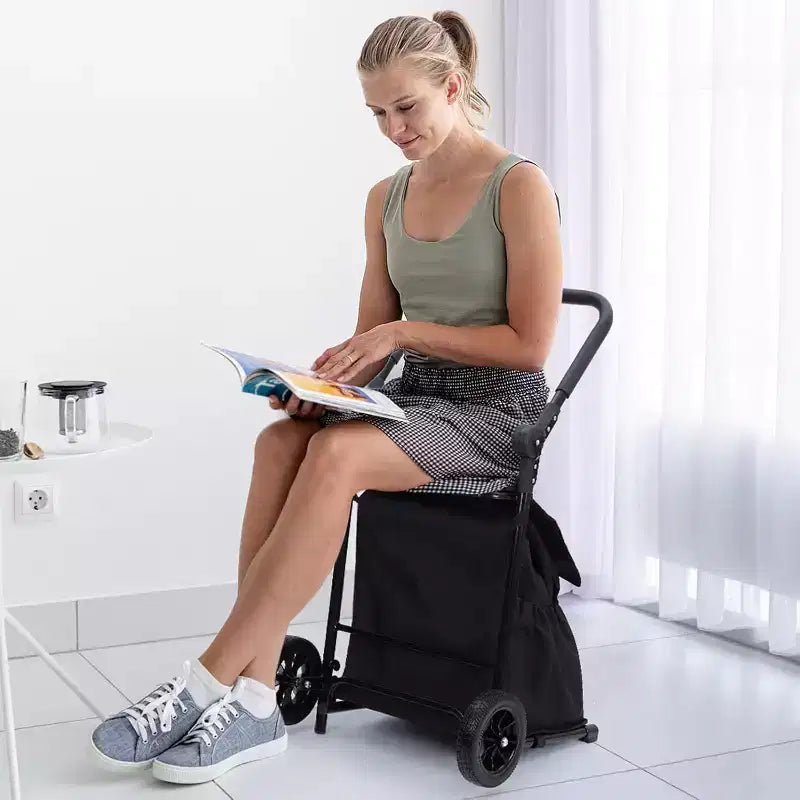 Acekool Carrello a Mano Pieghevole 2-in-1 con Borsa Impermeabile Rimovibile, Cuscino Spesso e Manico Antiscivolo Regolabile, Nero